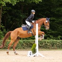 Trentin van Eeckelghem