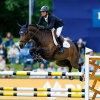 Silhouet van de Rozenberg