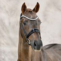 For Romance I / Diamond Hit