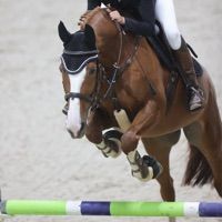 Galinda von Bueren Ch