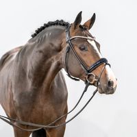 Panenka de Kalvarie / Aganix du Seigneur Z