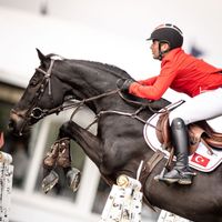 Navaron van Tormetal