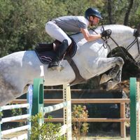 QUE Alto van Het Schaeck