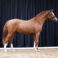 Nanga Parbat D´alpen
