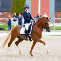 HIS Royal Badness DK