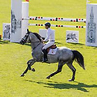 Ricante van het Keysersbos