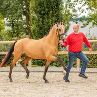 Diamonds Explosion We