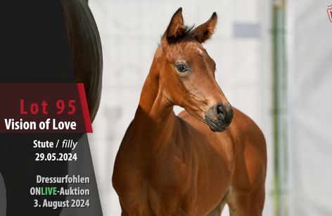Vision Of Love profile (Mare) with 3 videos – *2024