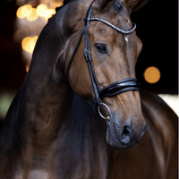 Hexagon's Grandville