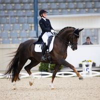 Atterupgaards Cooper