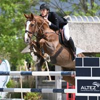 Embryo von Cardento x Bamako