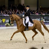 Bohemian Rhapsodie 2