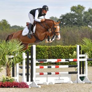 Preparatoire - 1,10 m - Jumping Pro-Am - Villers Vicomte - 2022 ...