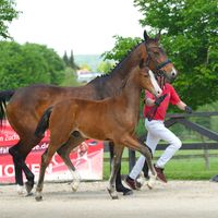 Einsteins Revolution