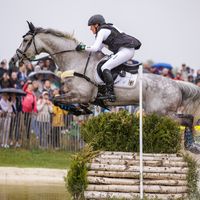 Carlitos Quidditch K