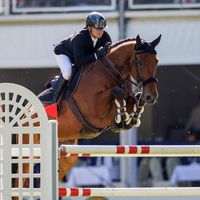 Ortolaan van het Ruytinxbos