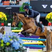 New Libero One d'Asschaut