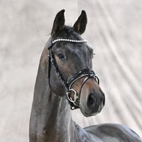 Jovian / For Romance I