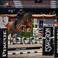 Maybe van't Paradijs