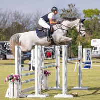 Cibelle van Het Hobos Z