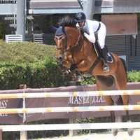 Radja van de Wittemoere