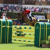 Tabasco de Toxandria Z