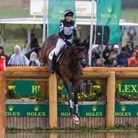 Greenacres Special Cavalier