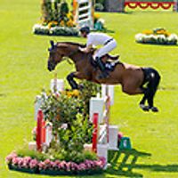 Silence Dwerse Hagen