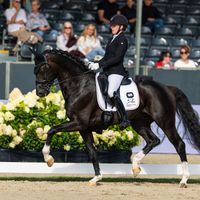 WinHorses' Eleven NRW