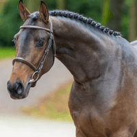 Uber-K Van Kattenheye