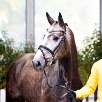 Contagio / Aganix Du Seigneur Z