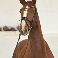 Hengst V. Baloutender - Famous Diamant