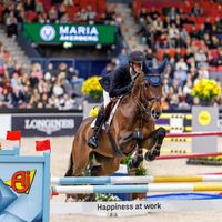 Gentle van de Kattevennen Z