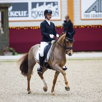 Othello van het Dijkhof