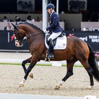 Urianto van den Dries