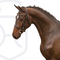 Gran Diablo Viktory Z