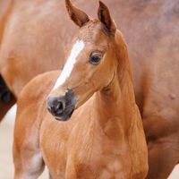 Just Call Me Ermitaz