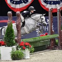 Windhover Miss America