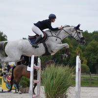 History Van't Ameldonk Z