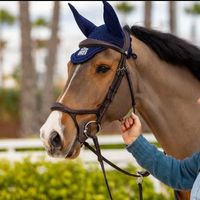 Captain Morgan Weering Z