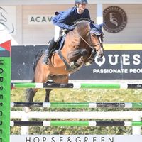 Brewster Vd Brouwershoeve Z