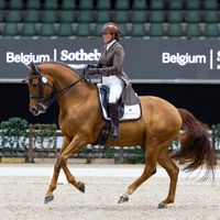Golddream vd Kempenhoeve