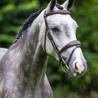 Sexy Girl Vant Gebergte