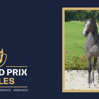 Oh Dear de Pléville