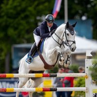 Dominka van de Lucashoeve