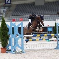 Little Miss Sunshine Du Cachep