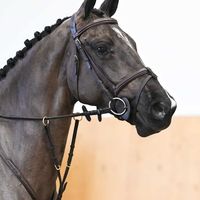 Pippi Lady van Seldsum