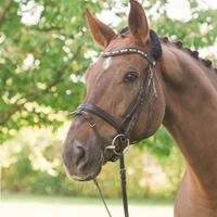 Dwayne The Rock Johnson