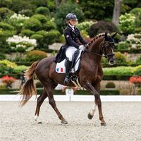 Dancielle de Malleret