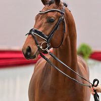 Fynch Hatton / Fürstenball